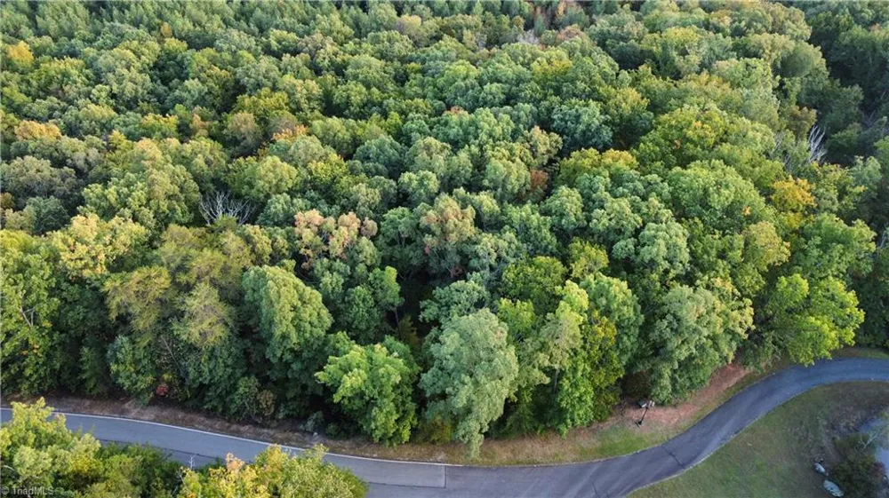593 Boulder Ridge Drive Denton, NC 27239