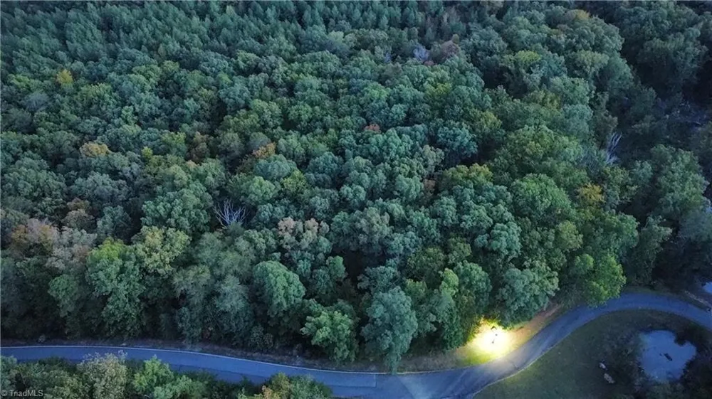 593 Boulder Ridge Drive Denton, NC 27239