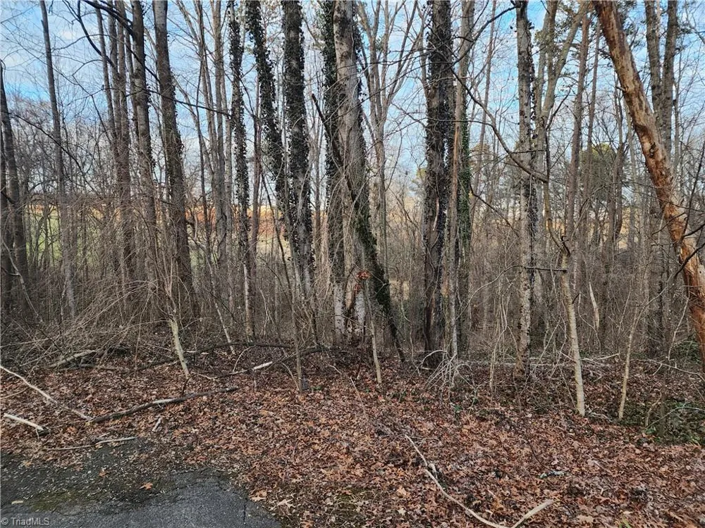 00 Nancy Drive Mount Airy, NC 27030
