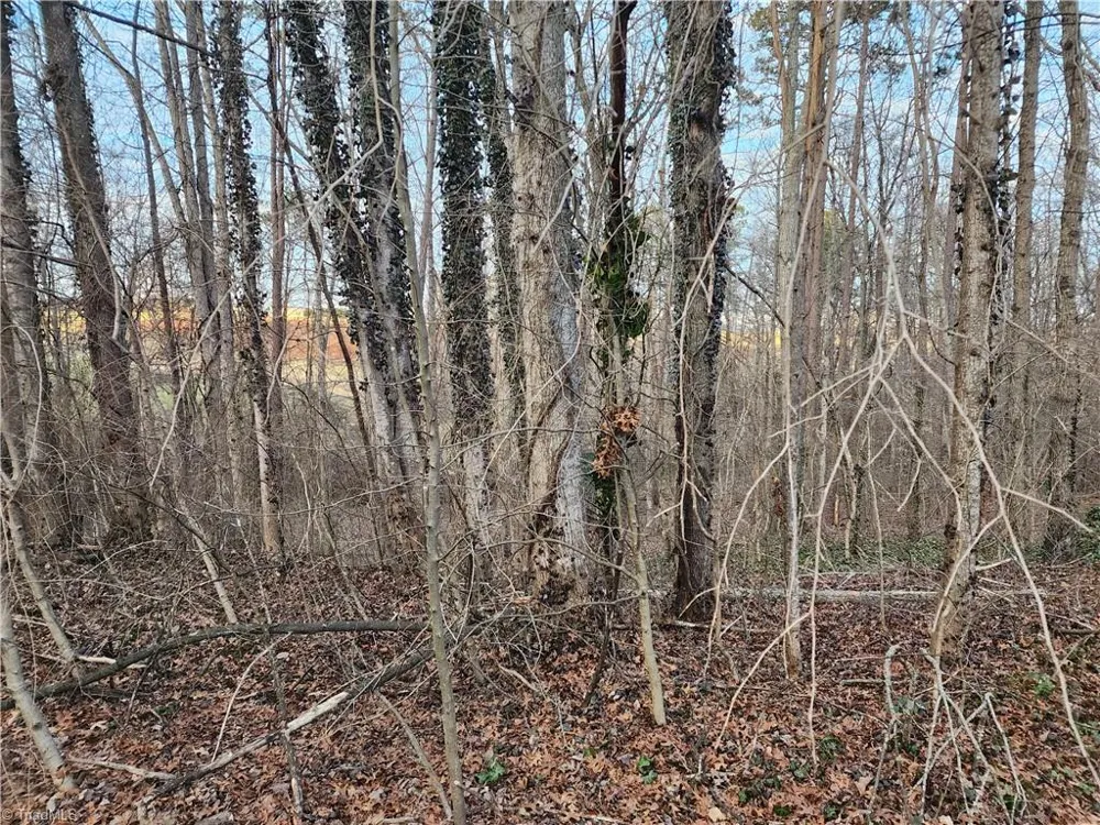 00 Nancy Drive Mount Airy, NC 27030