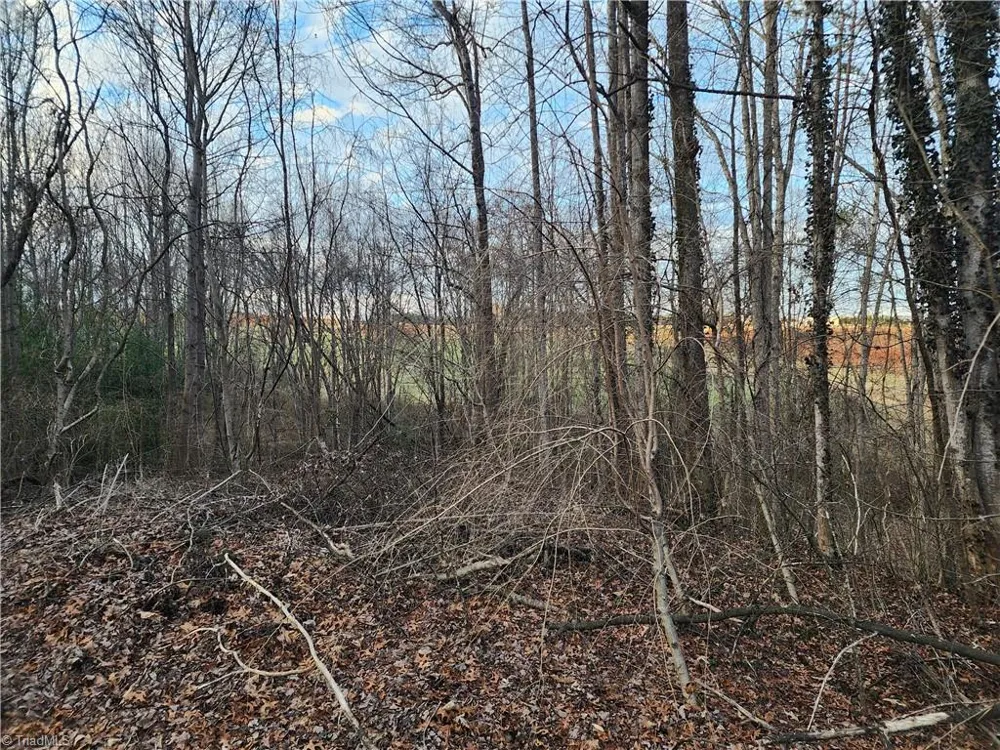 00 Nancy Drive Mount Airy, NC 27030