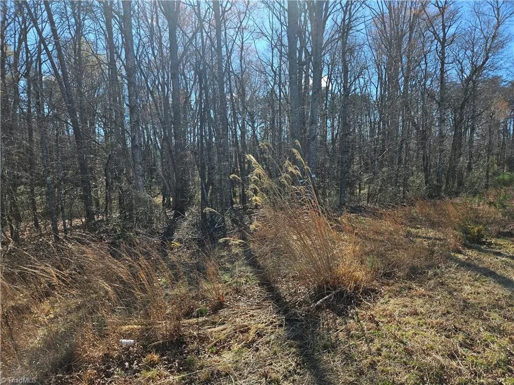00 Locust Grove Road #3 Westfield, NC 27030