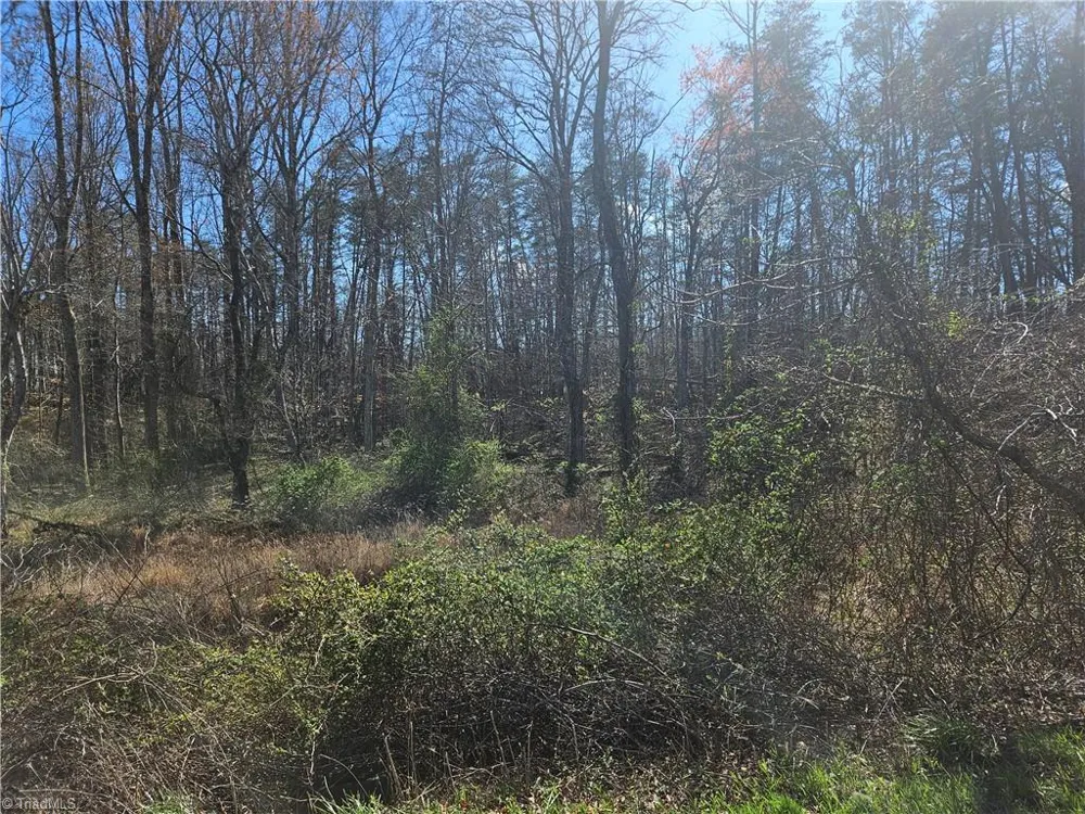00 Locust Grove Road #3 Westfield, NC 27030