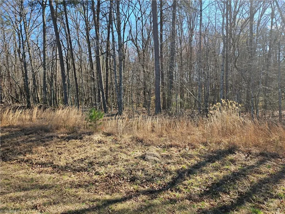 00 Locust Grove Road #3 Westfield, NC 27030