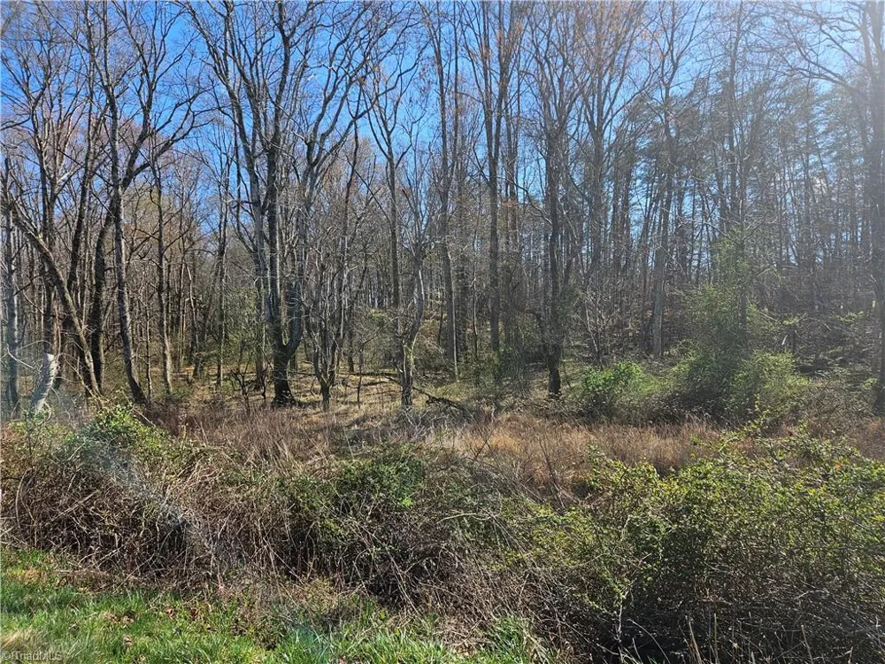 00 Locust Grove Road #3 Westfield, NC 27030