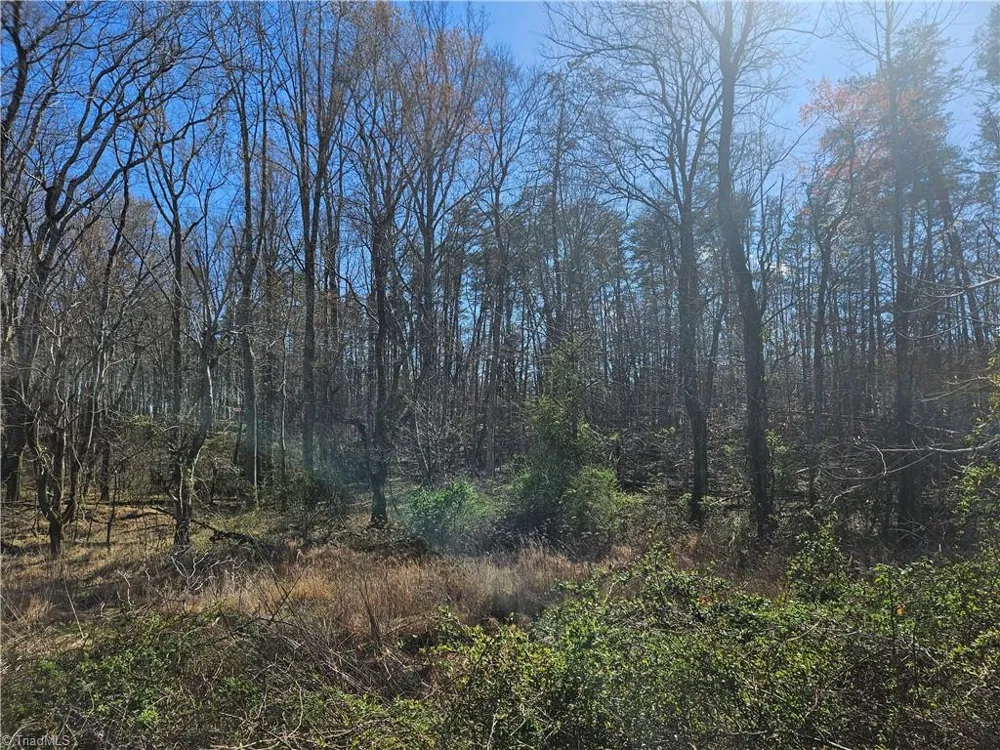00 Locust Grove Road #3 Westfield, NC 27030