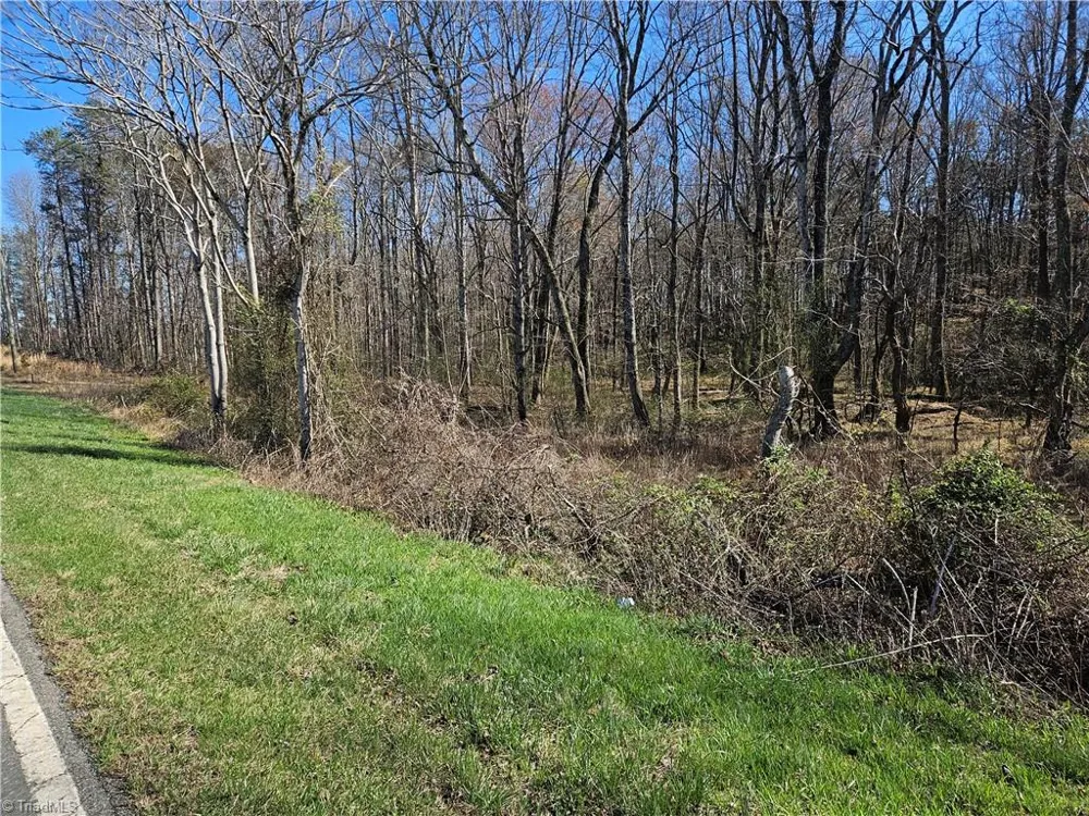 00 Locust Grove Road #3 Westfield, NC 27030