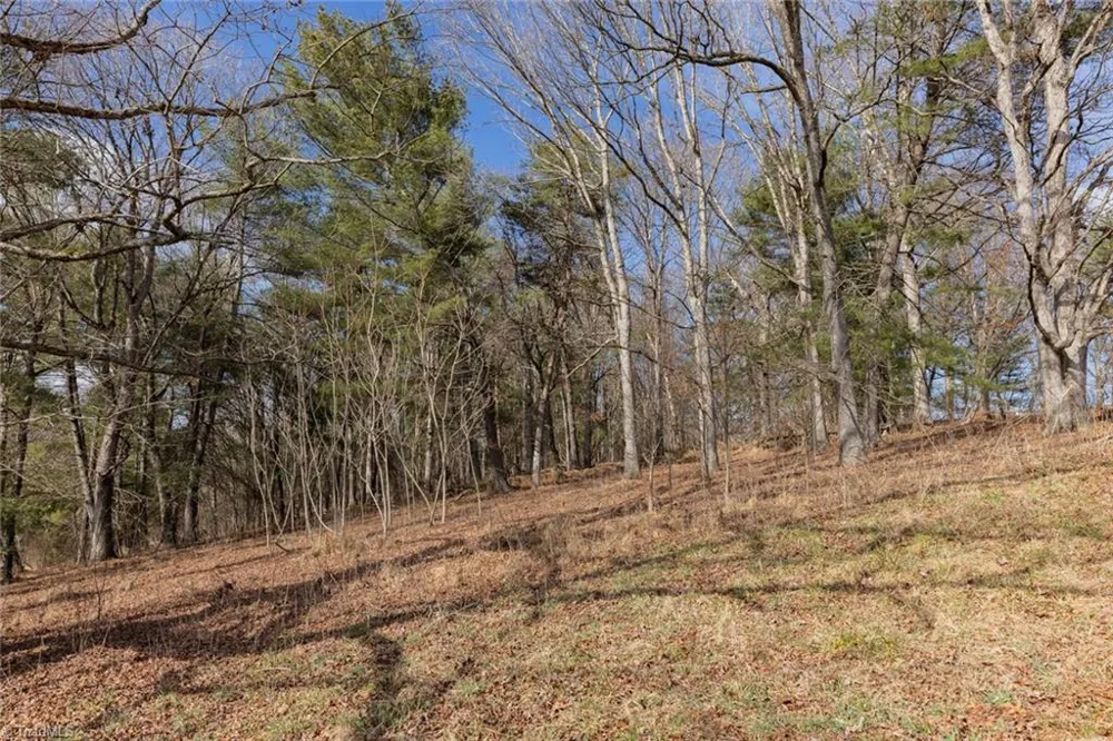Lot 16 Canterbury Drive North Wilkesboro, NC 28659