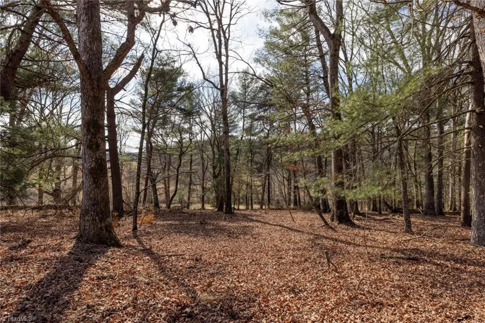 Lot 16 Canterbury Drive North Wilkesboro, NC 28659