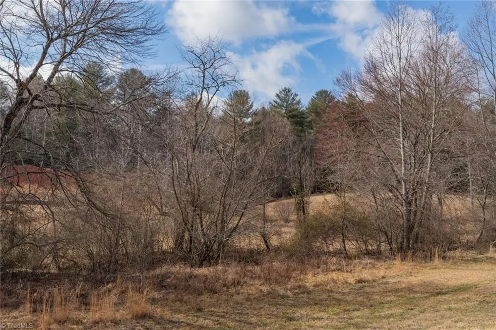 Lot 16 Canterbury Drive North Wilkesboro, NC 28659
