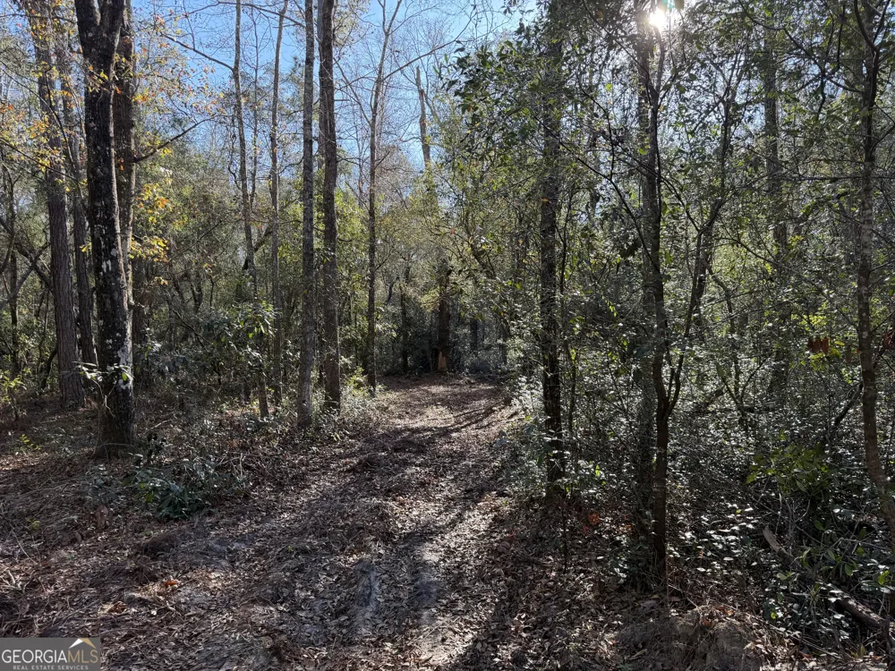 3833 Old Louisville RD Guyton, GA 31312