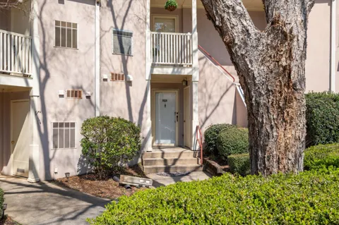 1207 Colony Pl Drive