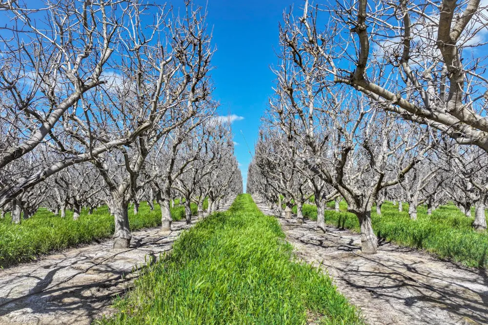 0 Kimberlina Road Mcfarland, CA 93250