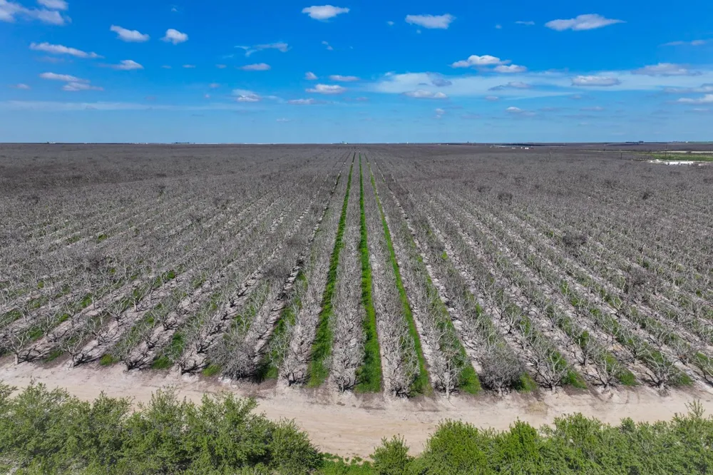 0 Kimberlina Road Mcfarland, CA 93250