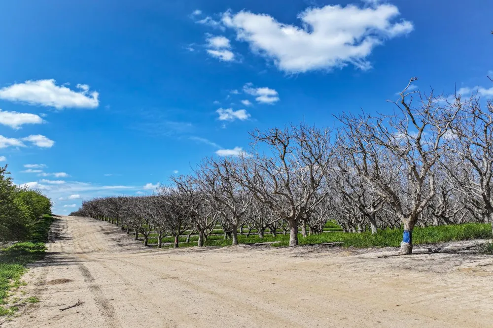 0 Kimberlina Road Mcfarland, CA 93250