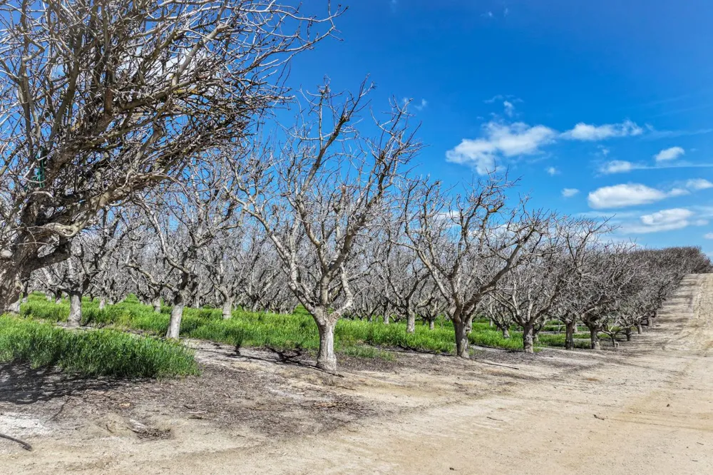 0 Kimberlina Road Mcfarland, CA 93250