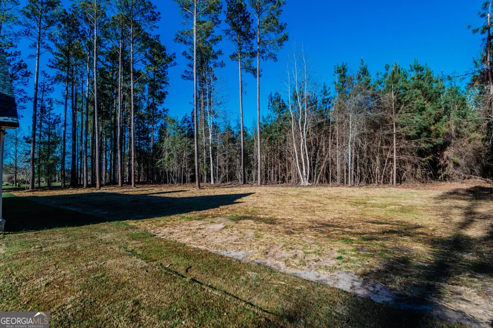 2089 Willow Lake RD Fort Valley, GA 31030