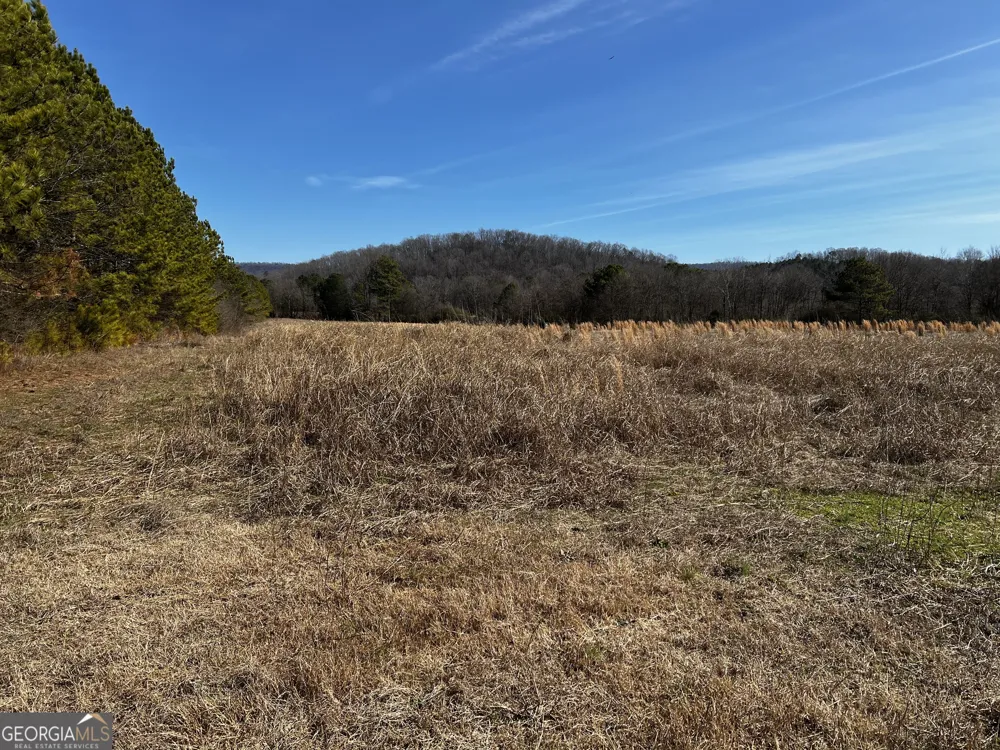 0 S Hwy 27 Trion, GA 30753