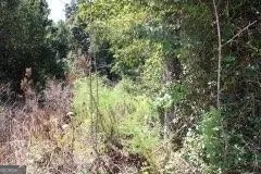3206 East Fairview RD Stockbridge, GA 30281