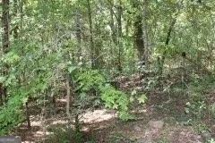 3206 East Fairview RD Stockbridge, GA 30281