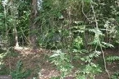 3206 East Fairview RD Stockbridge, GA 30281