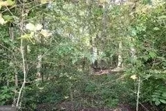 3206 East Fairview RD Stockbridge, GA 30281