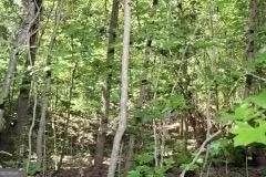 3206 East Fairview RD Stockbridge, GA 30281