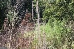3206 East Fairview RD Stockbridge, GA 30281