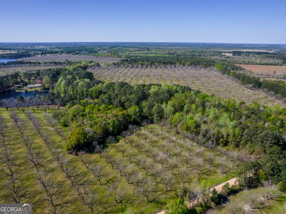 0 Edenfield RD Cobbtown, GA 30420