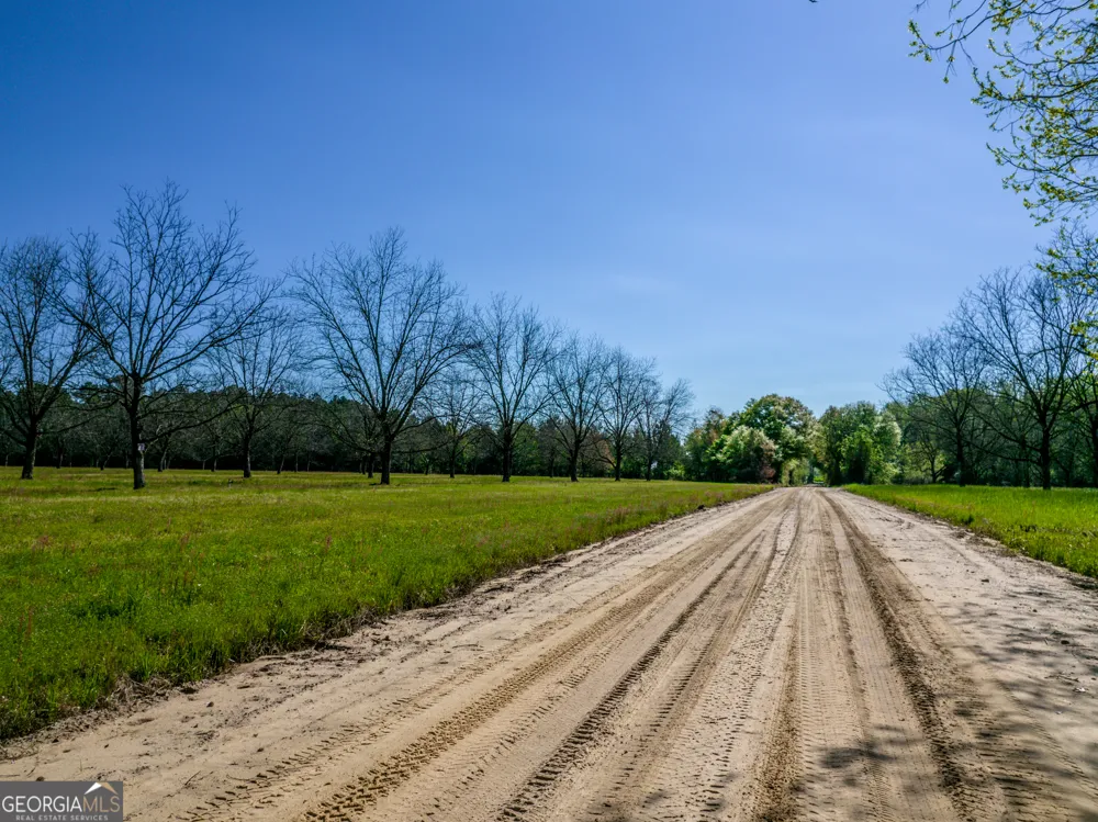 0 Edenfield RD Cobbtown, GA 30420
