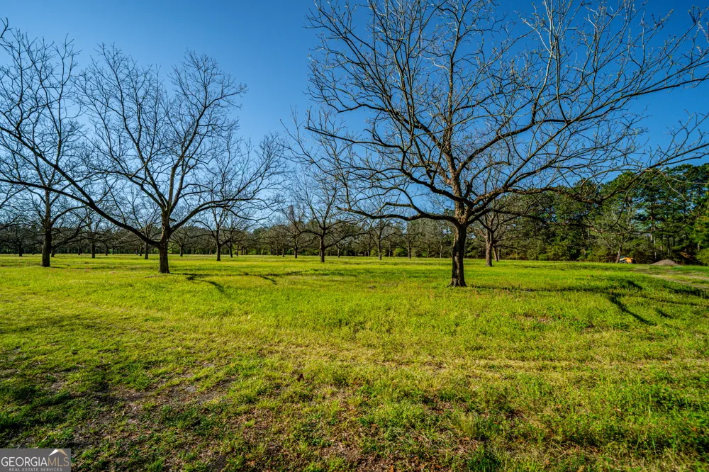 0 Edenfield RD Cobbtown, GA 30420