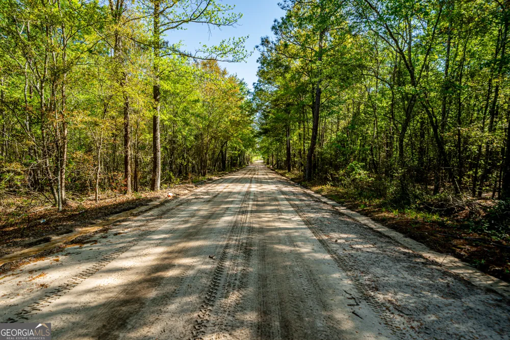 0 Edenfield RD Cobbtown, GA 30420