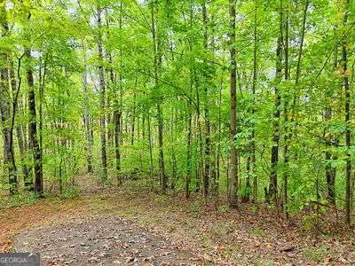 LOT 1 Skyview DR Hayesville, NC 28904