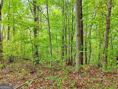 LOT 1 Skyview DR Hayesville, NC 28904