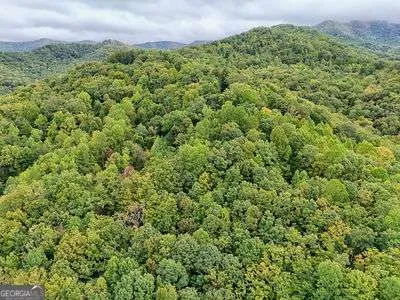 LOT 1 Skyview DR Hayesville, NC 28904