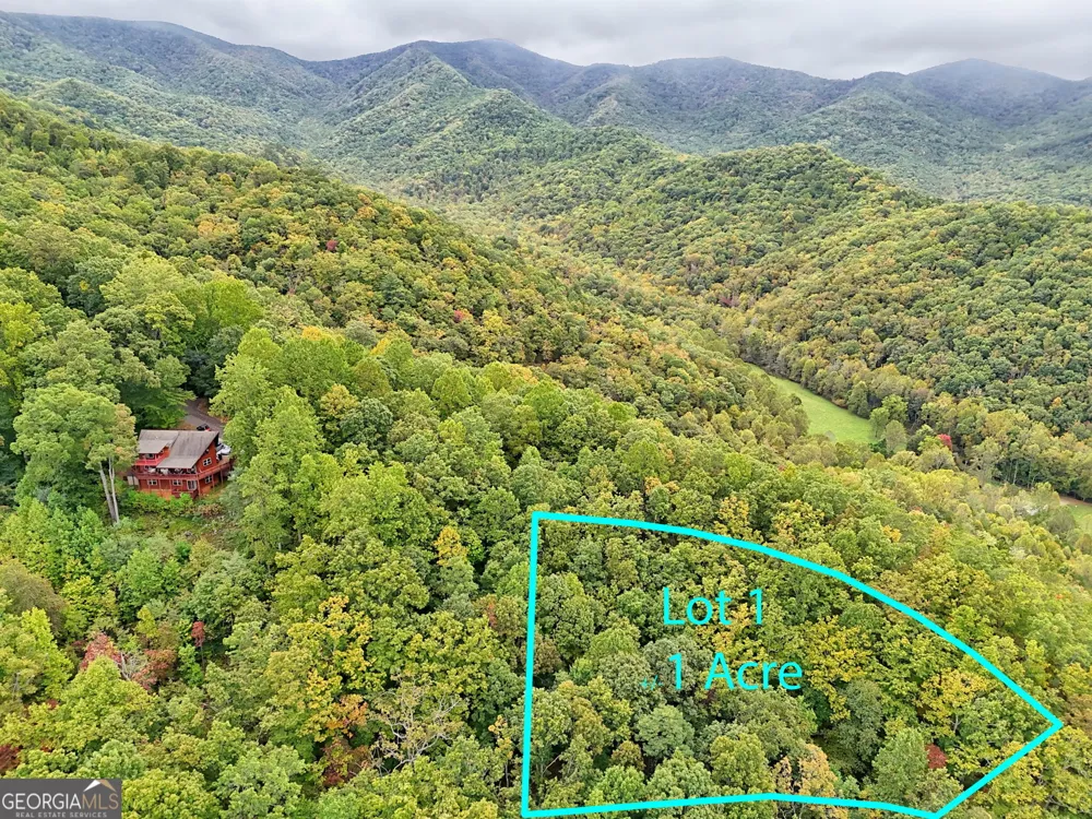 LOT 1 Skyview DR Hayesville, NC 28904