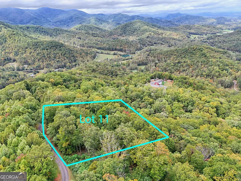 LOT 11 Skyview DR Hayesville, NC 28904