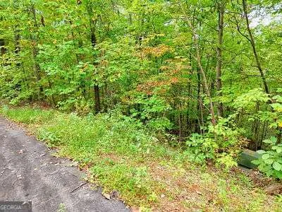 LOT 28 Skyview DR Hayesville, NC 28904