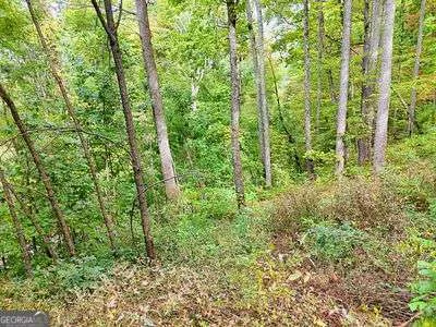 LOT 21 Skyview OVLK Hayesville, NC 28904