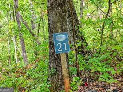 LOT 21 Skyview OVLK