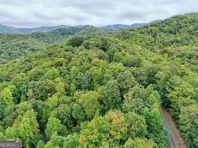 LOT 5 Skyview DR Hayesville, NC 28904