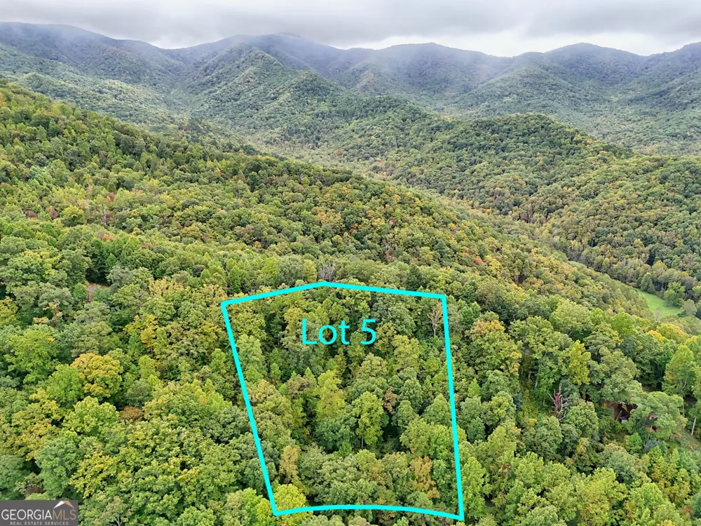 LOT 5 Skyview DR Hayesville, NC 28904