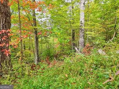 LOT 23 Skyview OVLK Hayesville, NC 28904