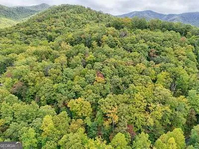 LOT 27 Skyview DR Hayesville, NC 28904