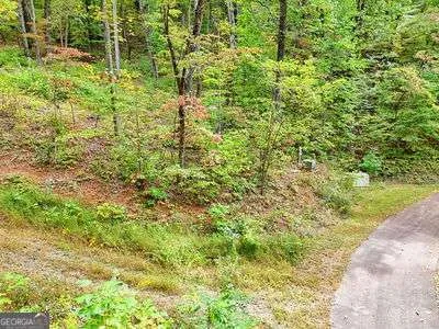 LOT 31 Skyview DR Hayesville, NC 28904