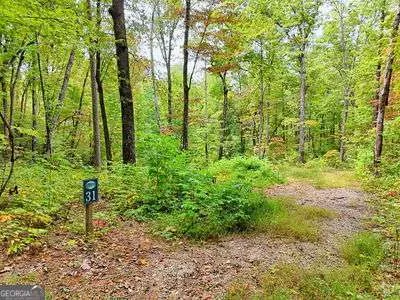 LOT 31 Skyview DR Hayesville, NC 28904