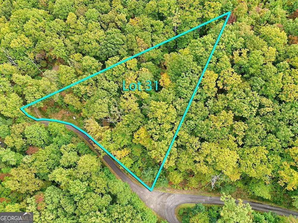 LOT 31 Skyview DR Hayesville, NC 28904
