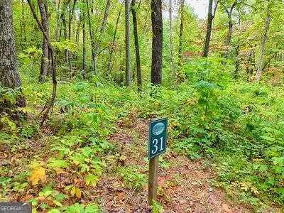 LOT 31 Skyview DR