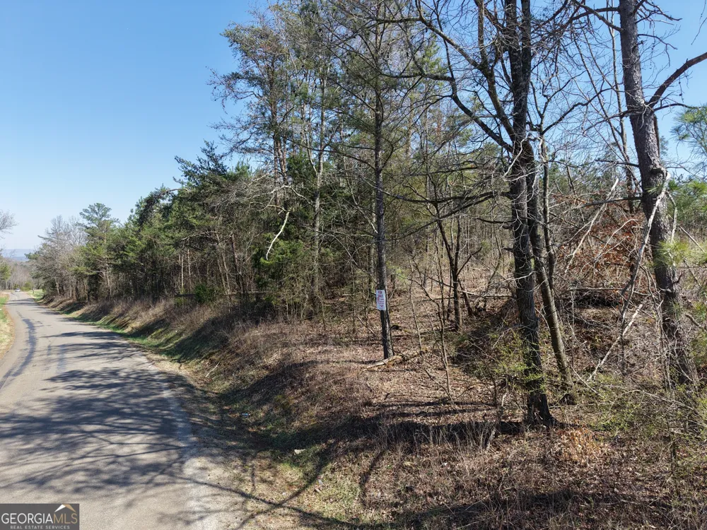 0 Young LOOP Fairmount, GA 30139