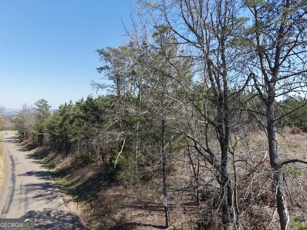 0 Young LOOP Fairmount, GA 30139